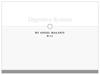 By Angel Malapit 8-17 Digestive System 