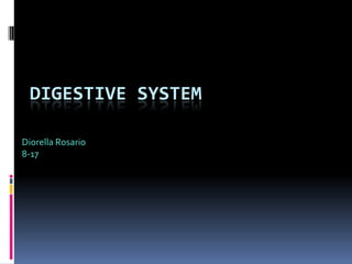 Diorella Rosario 8-17 Digestive System 