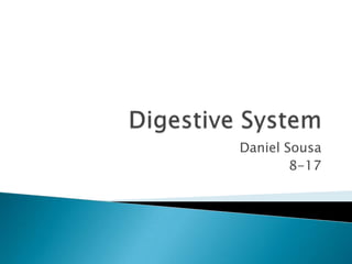 Digestive System Daniel Sousa 8-17 