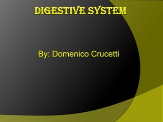 Digestive system By: DomenicoCrucetti 