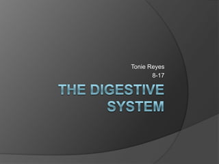 The Digestive System Tonie Reyes  8-17 