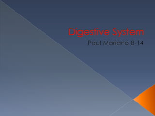 Digestive System Paul Mariano 8-14 