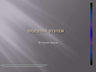 Digestive System By: ArweenApuyan 