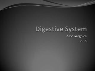 Digestive System Alec Gargoles 8-16 