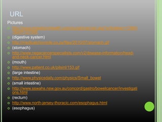 URLPictureshttp://www.emedicinehealth.com/script/main/art.asp?articlekey=129651&ref=127908(digestive system)http://medicalchronicle.co.za/files/2010/07/stomach.gif(stomach)http://www.negacancerspecialists.com/v2/disease-information/head-and-neck-cancer.html(mouth)http://www.patient.co.uk/pilsinl/153.gif(large intestine)http://www.physicsdaily.com/physics/Small_bowel(small intestine)http://www.sswahs.nsw.gov.au/concord/gastro/bowelcancer/investigations.html(rectum) http://www.north-jersey-thoracic.com/esophagus.html(esophagus)