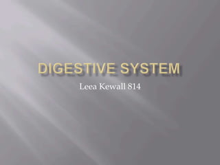 Digestive System LeeaKewall 814 