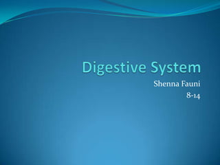 Digestive System,[object Object],ShennaFauni,[object Object],8-14,[object Object]