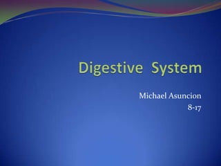 Digestive  System Michael Asuncion  8-17 
