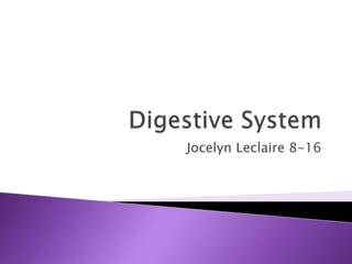 Digestive System Jocelyn Leclaire 8-16 