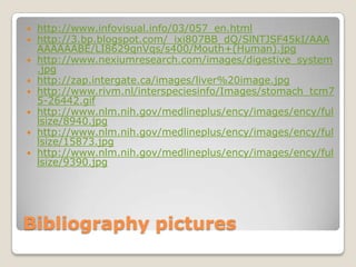 Bibliography pictureshttp://www.infovisual.info/03/057_en.htmlhttp://3.bp.blogspot.com/_ixi807BB_dQ/SlNTJSF45kI/AAAAAAAAABE/LI8629qnVqs/s400/Mouth+(Human).jpghttp://www.nexiumresearch.com/images/digestive_system.jpghttp://zap.intergate.ca/images/liver%20image.jpghttp://www.rivm.nl/interspeciesinfo/Images/stomach_tcm75-26442.gifhttp://www.nlm.nih.gov/medlineplus/ency/images/ency/fullsize/8940.jpghttp://www.nlm.nih.gov/medlineplus/ency/images/ency/fullsize/15873.jpghttp://www.nlm.nih.gov/medlineplus/ency/images/ency/fullsize/9390.jpg