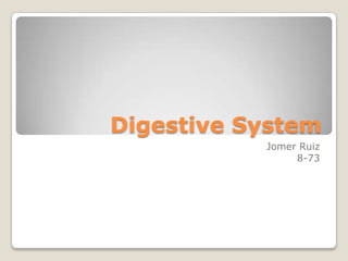 Digestive System Jomer Ruiz 8-73 