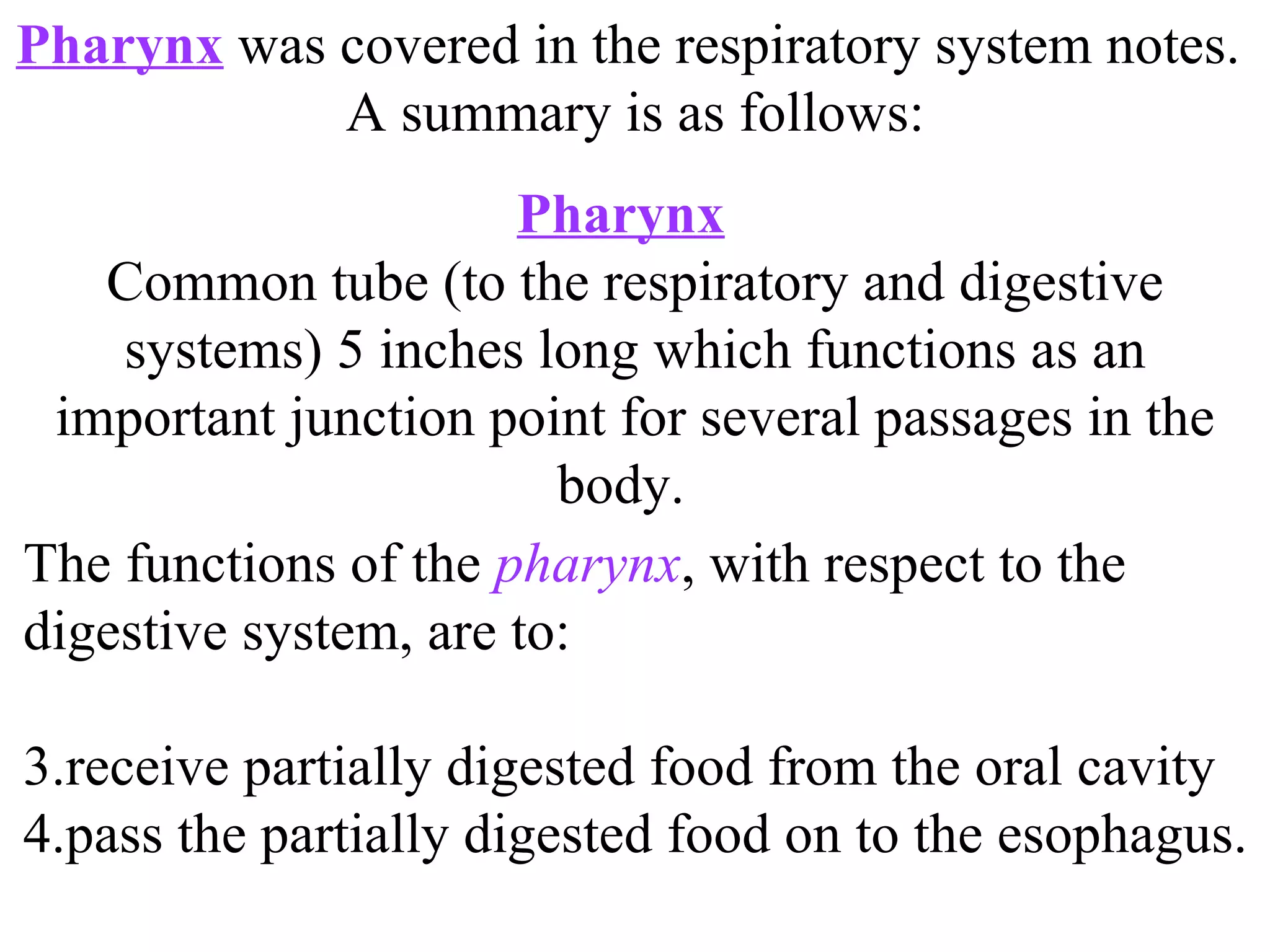 Pharynx   Common tube (to the respiratory and digestive systems) 5 inches long which functions as an important junction point for several passages in the body.  Pharynx  was covered in the respiratory system notes.  A summary is as follows: The functions of the  pharynx , with respect to the digestive system, are to: receive partially digested food from the oral cavity pass the partially digested food on to the esophagus.  