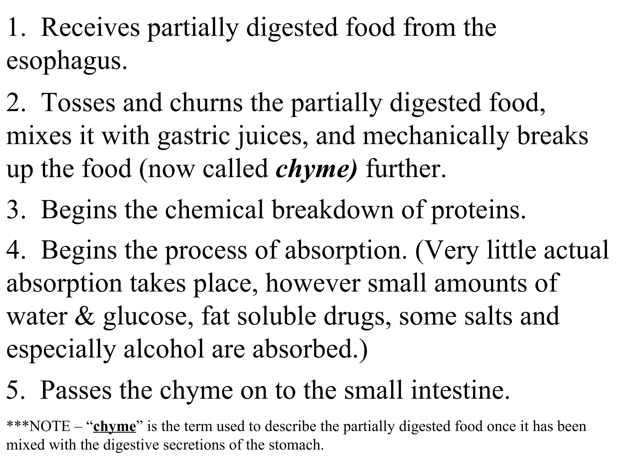1.  Receives partially digested food from the esophagus.  2.  Tosses and churns the partially digested food, mixes it with gastric juices, and mechanically breaks up the food (now called  chyme)  further. 3.  Begins the chemical breakdown of proteins. 4.  Begins the process of absorption. (Very little actual absorption takes place, however small amounts of  water & glucose, fat soluble drugs, some salts and especially alcohol are absorbed.) 5.  Passes the chyme on to the small intestine.  ***NOTE – “ chyme ” is the term used to describe the partially digested food once it has been mixed with the digestive secretions of the stomach.  