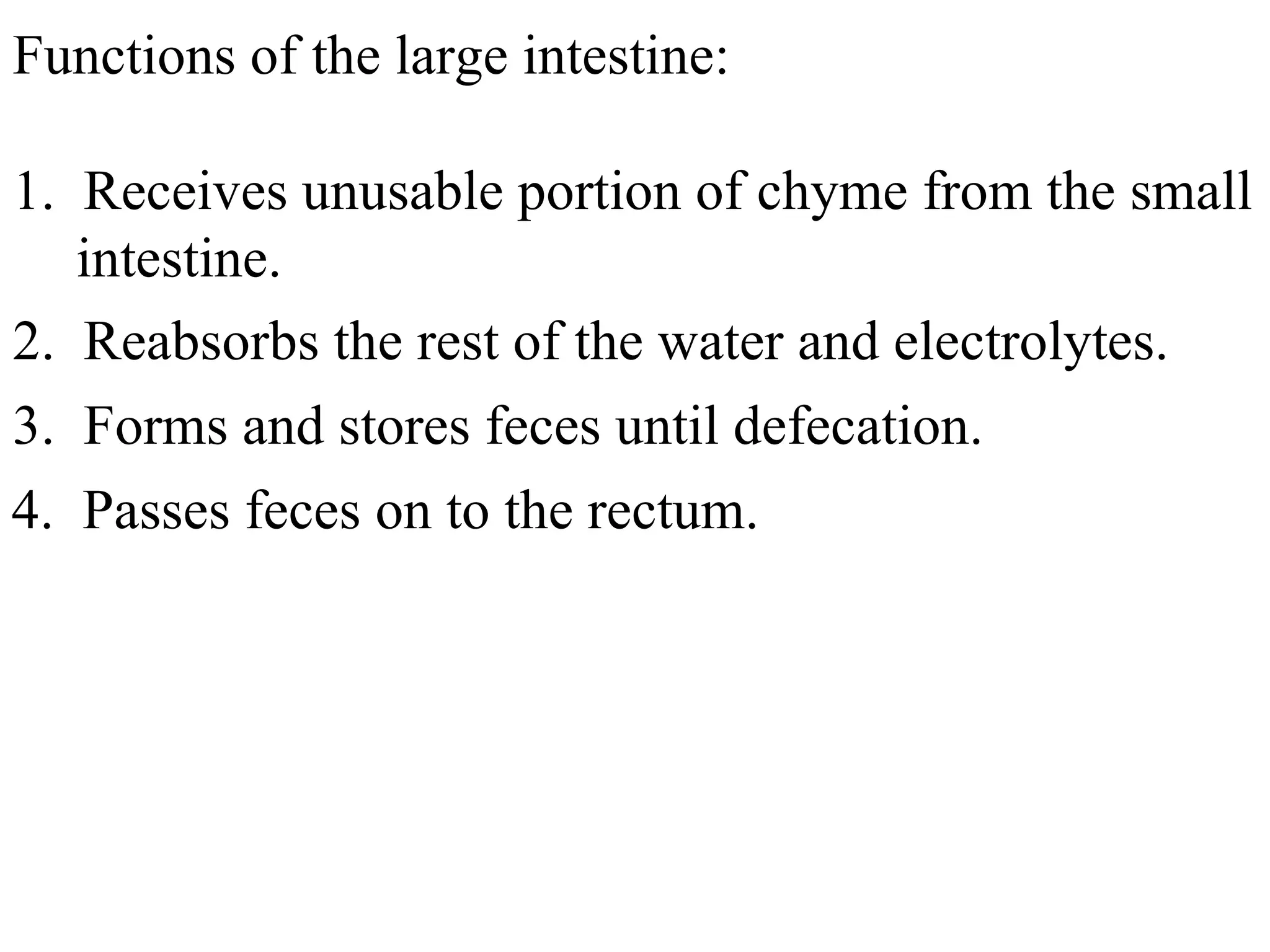 Functions of the large intestine: 1.  Receives unusable portion of chyme from the small intestine. 2.  Reabsorbs the rest of the water and electrolytes. 3.  Forms and stores feces until defecation. 4.  Passes feces on to the rectum. 
