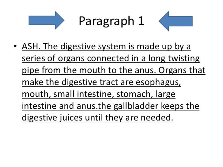Digestive system!