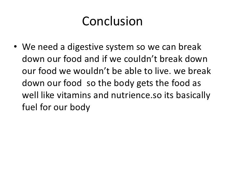 conclusion on digestive system essay