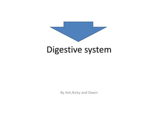 Digestive system By Ash,Ricky and Owen 
