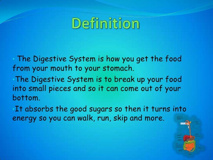 Digestive system