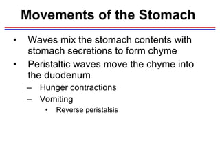 Digestive system | PPT