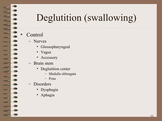 Deglutition (swallowing)‏ Control Nerves Glossopharyngeal Vagus Accessory Brain stem Deglutition center  Medulla oblongata Pons Disorders Dysphagia Aphagia 
