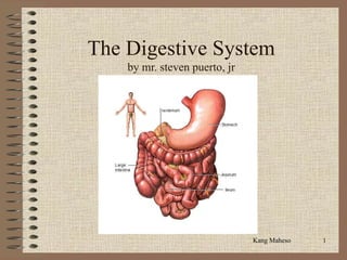 The Digestive System
    by mr. steven puerto, jr




                               Kang Maheso   1
 