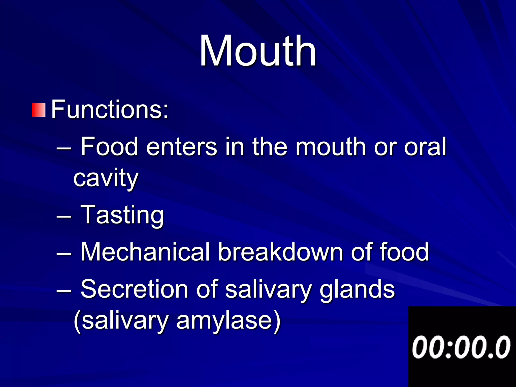 Mouth
Functions:
– Food enters in the mouth or oral
 cavity
– Tasting
– Mechanical breakdown of food
– Secretion of salivary glands
 (salivary amylase)
 