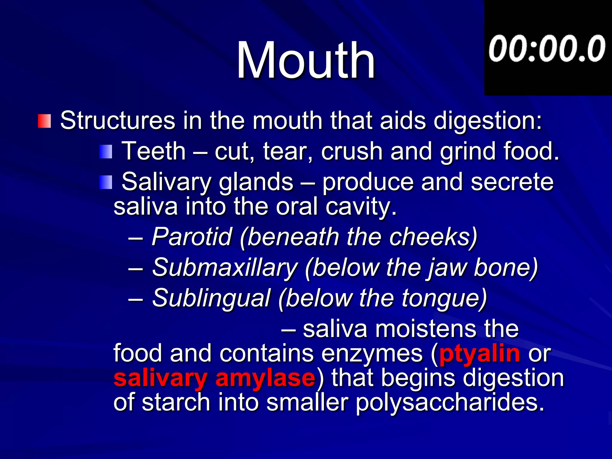 Mouth
Structures in the mouth that aids digestion:
      Teeth – cut, tear, crush and grind food.
      Salivary glands – produce and secrete
     saliva into the oral cavity.
       – Parotid (beneath the cheeks)
       – Submaxillary (below the jaw bone)
       – Sublingual (below the tongue)
                     – saliva moistens the
     food and contains enzymes (ptyalin or
     salivary amylase) that begins digestion
     of starch into smaller polysaccharides.
 