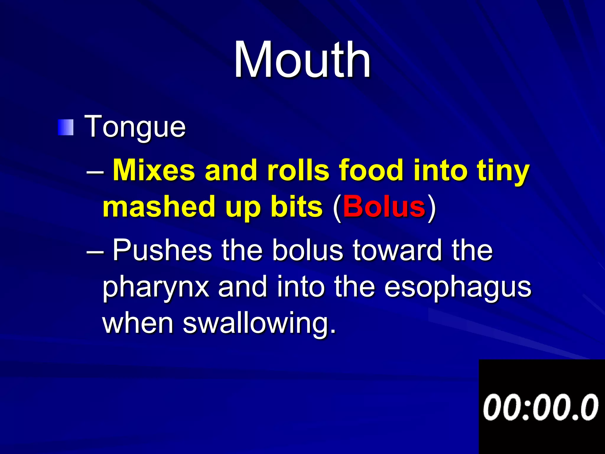 Mouth
Tongue
– Mixes and rolls food into tiny
 mashed up bits (Bolus)
– Pushes the bolus toward the
 pharynx and into the esophagus
 when swallowing.
 