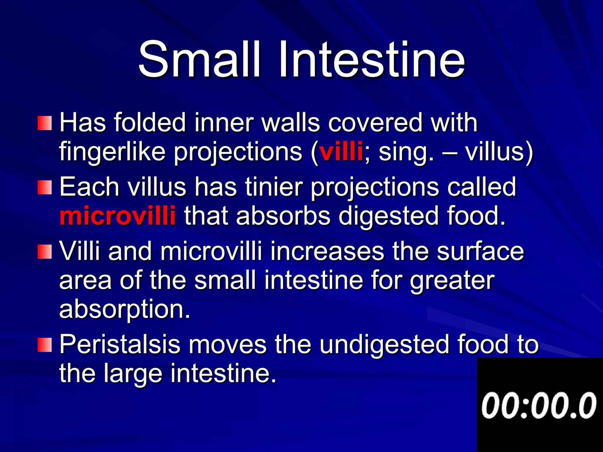 Small Intestine
Has folded inner walls covered with
fingerlike projections (villi; sing. – villus)
Each villus has tinier projections called
microvilli that absorbs digested food.
Villi and microvilli increases the surface
area of the small intestine for greater
absorption.
Peristalsis moves the undigested food to
the large intestine.
 