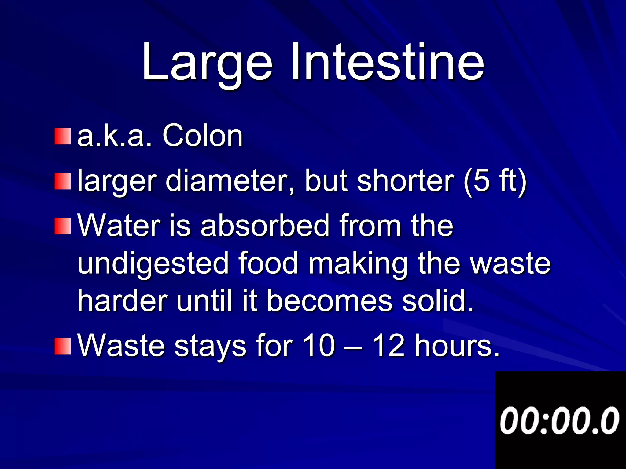 Large Intestine
a.k.a. Colon
larger diameter, but shorter (5 ft)
Water is absorbed from the
undigested food making the waste
harder until it becomes solid.
Waste stays for 10 – 12 hours.
 