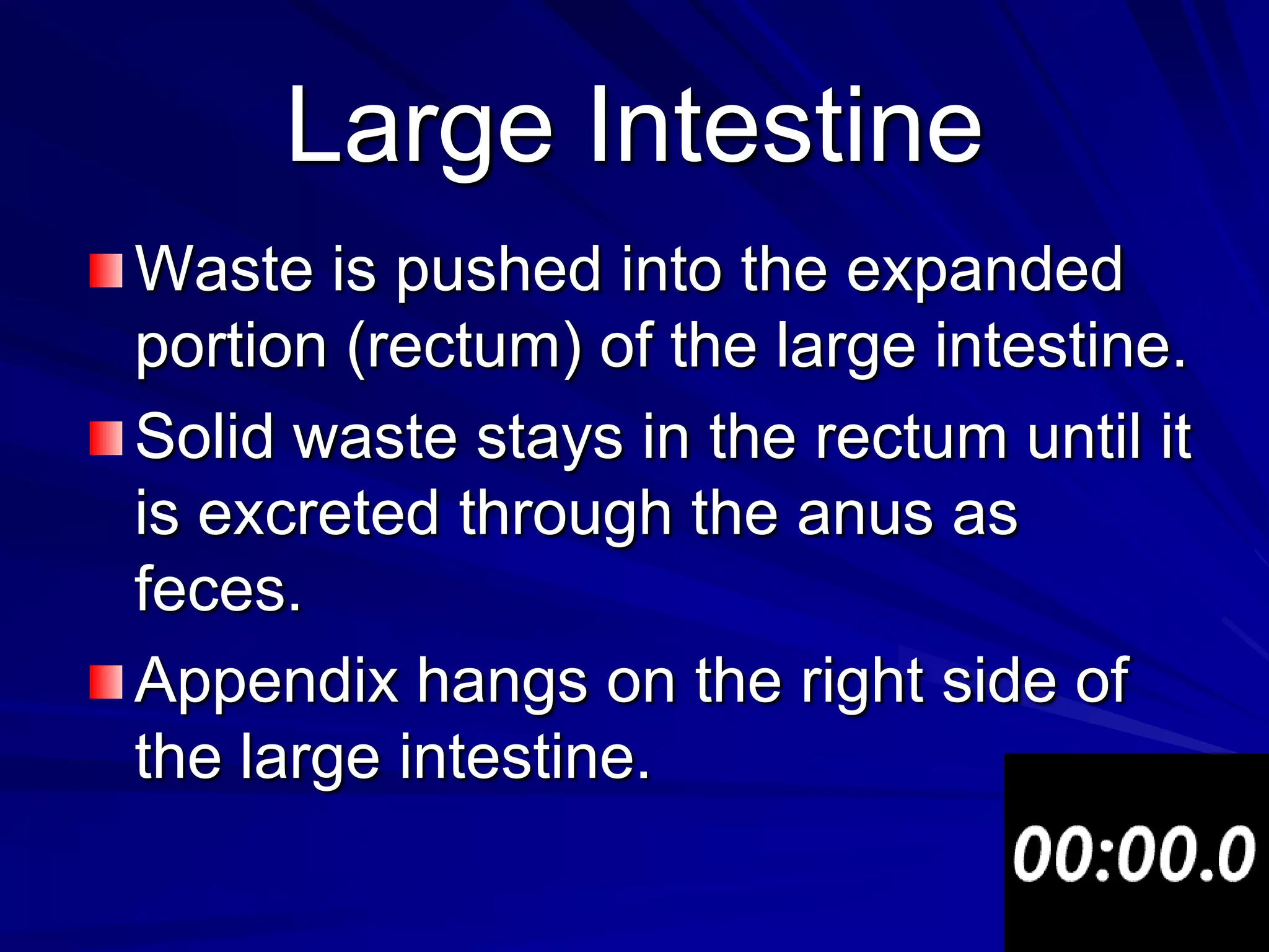 Large Intestine
Waste is pushed into the expanded
portion (rectum) of the large intestine.
Solid waste stays in the rectum until it
is excreted through the anus as
feces.
Appendix hangs on the right side of
the large intestine.
 