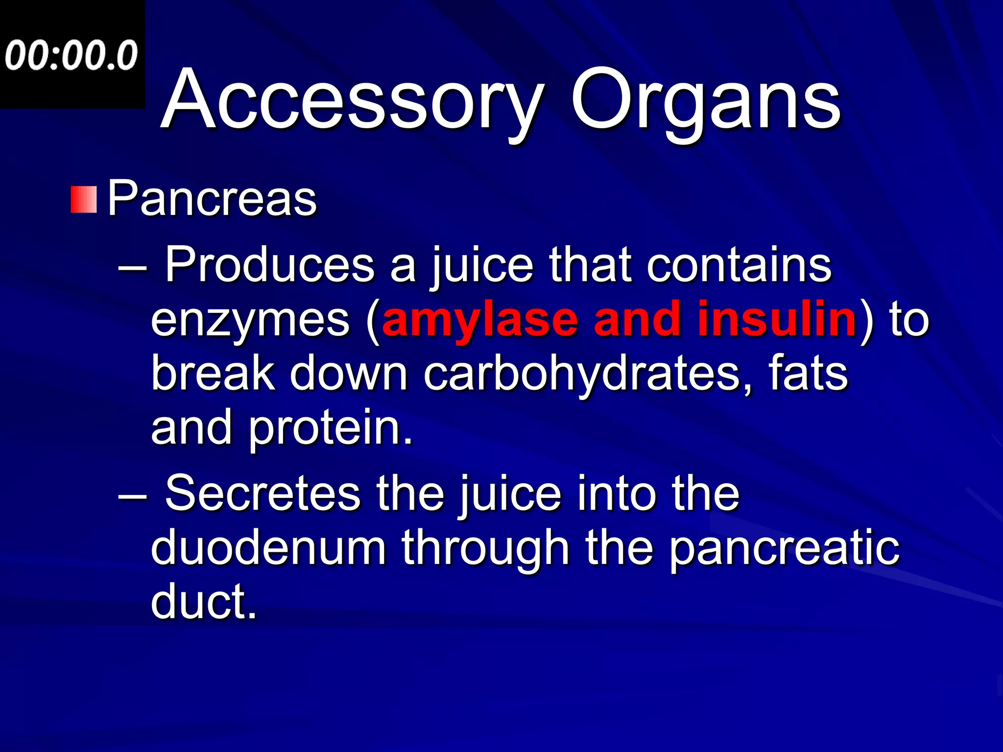 Accessory Organs
Pancreas
– Produces a juice that contains
 enzymes (amylase and insulin) to
 break down carbohydrates, fats
 and protein.
– Secretes the juice into the
 duodenum through the pancreatic
 duct.
 