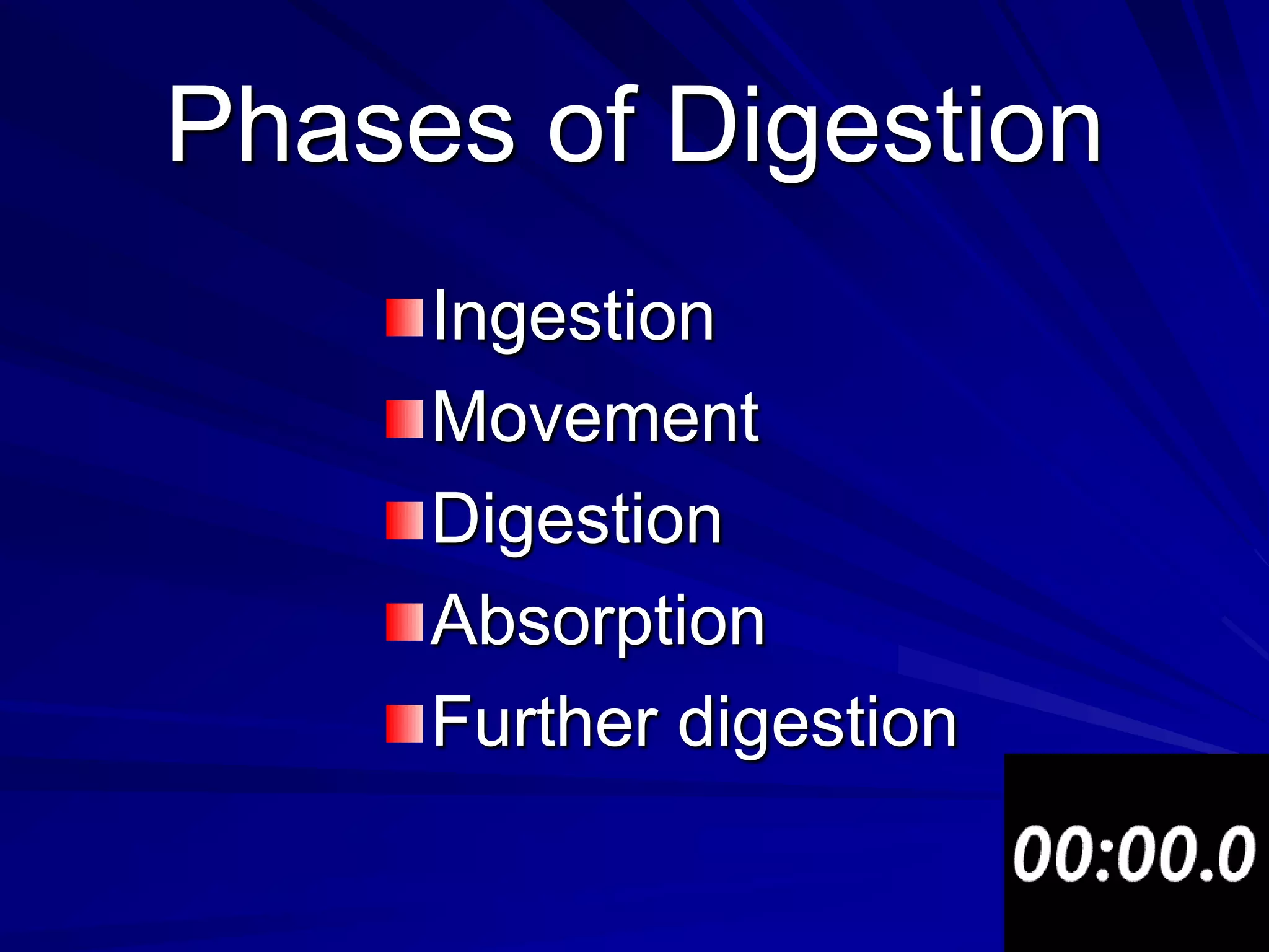 Phases of Digestion
     Ingestion
     Movement
     Digestion
     Absorption
     Further digestion
 