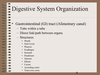 Digestive System Organization

• Gastrointestinal (Gl) tract (Alimentary canal)
   – Tube within a tube
   – Direct link/path between organs
   – Structures
      •   Mouth
      •   Oral Cavity
      •   Pharynx
      •   Esophagus
      •   Stomach
      •   Duedenum
      •   Jejenum
      •   kIleum
      •   Cecum
      •   Ascending colon
      •   Transverse colon
                                         4
 