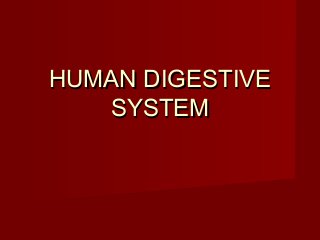 HUMAN DIGESTIVE
   SYSTEM
 