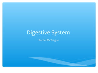 Digestive System
Rachel McTeague
 