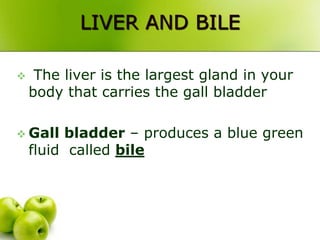 LIVER AND BILE
 The liver is the largest gland in your
body that carries the gall bladder
 Gall bladder – produces a blue green
fluid called bile
 