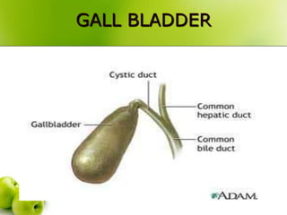 GALL BLADDER
 
