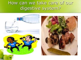 How can we take care of our
digestive system?
 