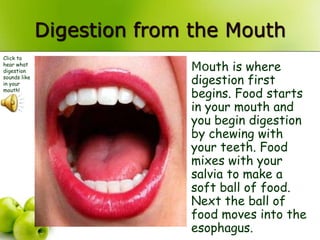 Digestion from the Mouth
Mouth is where
digestion first
begins. Food starts
in your mouth and
you begin digestion
by chewing with
your teeth. Food
mixes with your
salvia to make a
soft ball of food.
Next the ball of
food moves into the
esophagus.
Click to
hear what
digestion
sounds like
in your
mouth!
 
