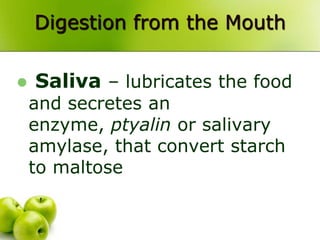 Digestion from the Mouth
 Saliva – lubricates the food
and secretes an
enzyme, ptyalin or salivary
amylase, that convert starch
to maltose
 