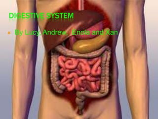 DIGESTIVE SYSTEM


By Lucy, Andrew, Enola and Xan

 