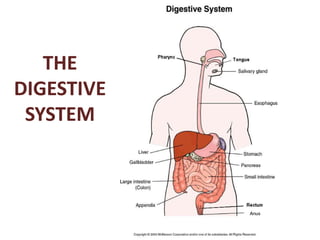 THE
DIGESTIVE
SYSTEM

 