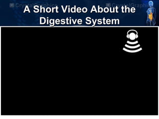 A Short Video About the
Digestive System
 