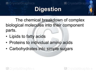 Digestion
The chemical breakdown of complex
biological molecules into their component
parts.
• Lipids to fatty acids
• Proteins to individual amino acids
• Carbohydrates into simple sugars
 