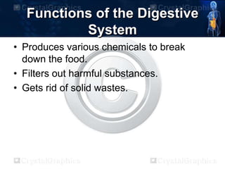 Functions of the Digestive
System
• Produces various chemicals to break
down the food.
• Filters out harmful substances.
• Gets rid of solid wastes.
 