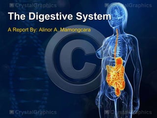 The Digestive System
A Report By: Alinor A. Mamongcara
 