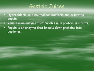 Gastric Juices
 Hydrochloric acid neutralises bacteria and activates
pepsin.
 Rennin is an enzyme that curdles milk protein in infants.
 Pepsin is an enzyme that breaks down proteins into
peptones.
 
