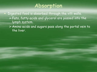 Absorption
 Digested food is absorbed through the villi walls.
Fats, fatty acids and glycerol are passed into the
lymph system.
Amino acids and sugars pass along the portal vein to
the liver.
 