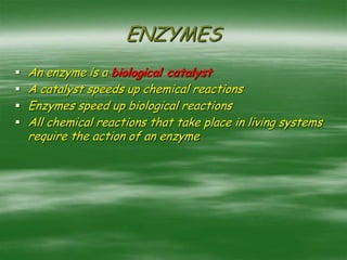 ENZYMES
 An enzyme is a biological catalyst
 A catalyst speeds up chemical reactions
 Enzymes speed up biological reactions
 All chemical reactions that take place in living systems
require the action of an enzyme
 